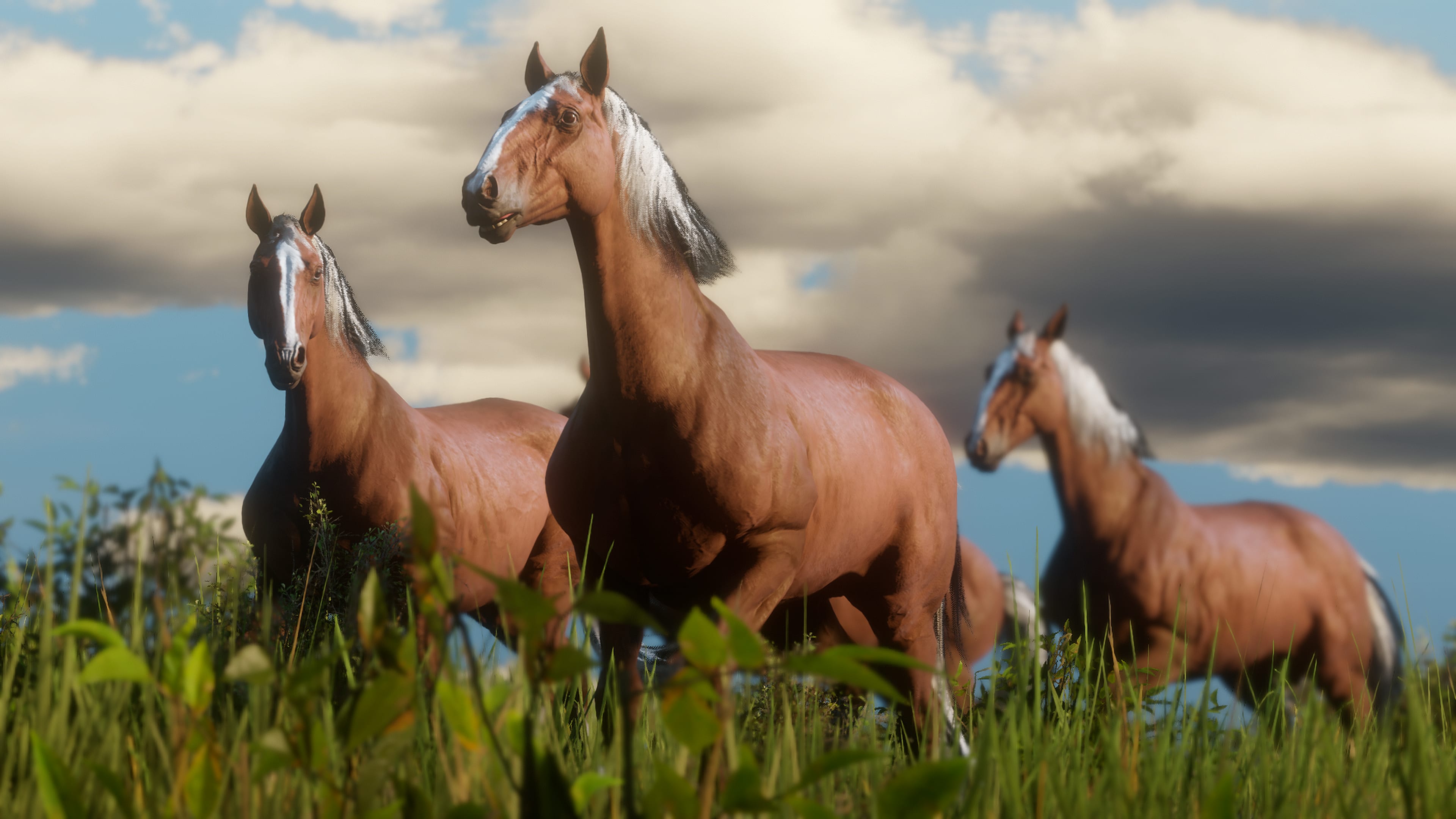 Um novo cavalo ( RED DEAD REDEMPTION 2 ) #jogos #gamer #redemption #re