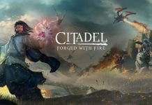 Citadel: Forged With Fire