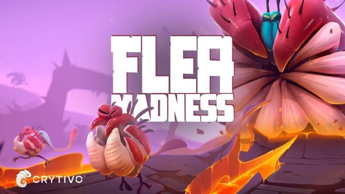 Flea Madness