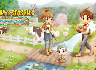 Story of Seasons: A Wonderful Life