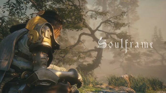 Soulframe