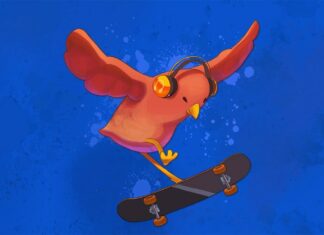 SkateBIRD