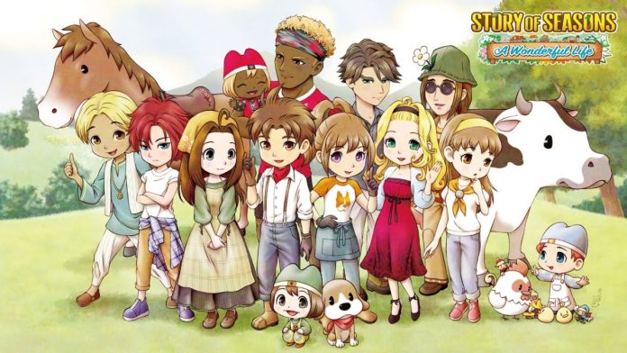 Story of Seasons: A Wonderful Life