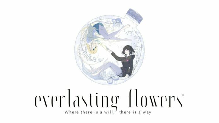 Everlasting Flowers