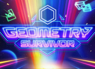 Geometry Survivor