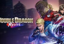 Double Dragon Revive