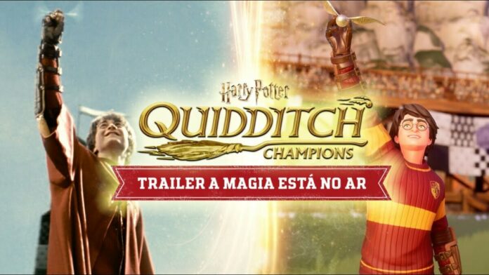 Harry Potter: Campeões do Quadribol