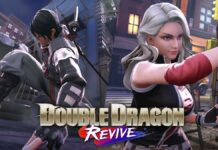 Double Dragon Revive