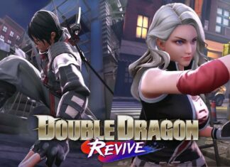 Double Dragon Revive