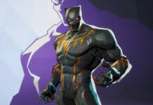 Marvel Rivals Black Panther