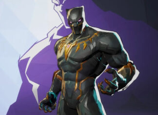 Marvel Rivals Black Panther