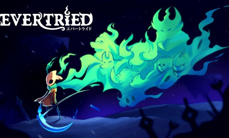 Evertried|Evertried