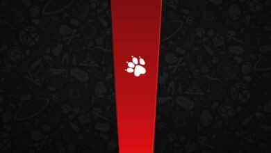 Naughty Dog