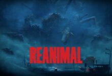 REANIMAL