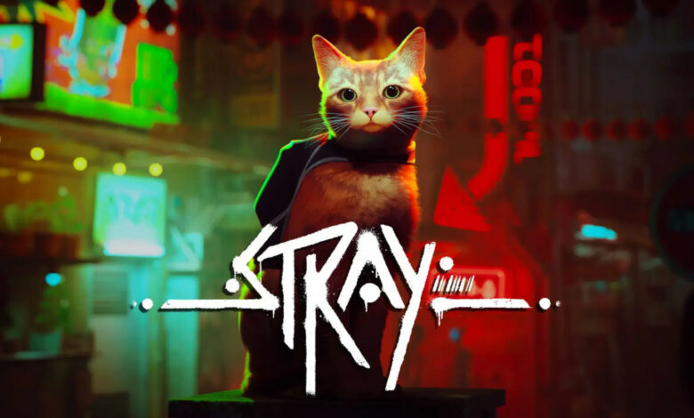 Stray|Stray