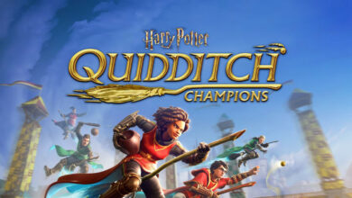 Harry Potter: Campeões do Quadribol|Harry Potter: Campeões do Quadribol