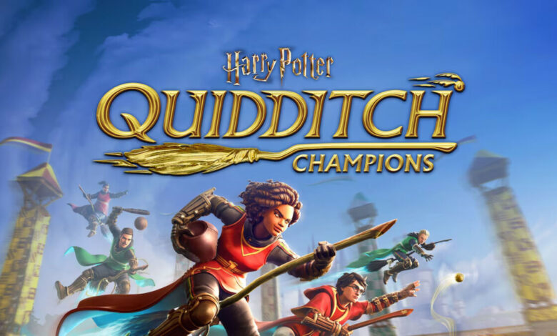 Harry Potter: Campeões do Quadribol|Harry Potter: Campeões do Quadribol