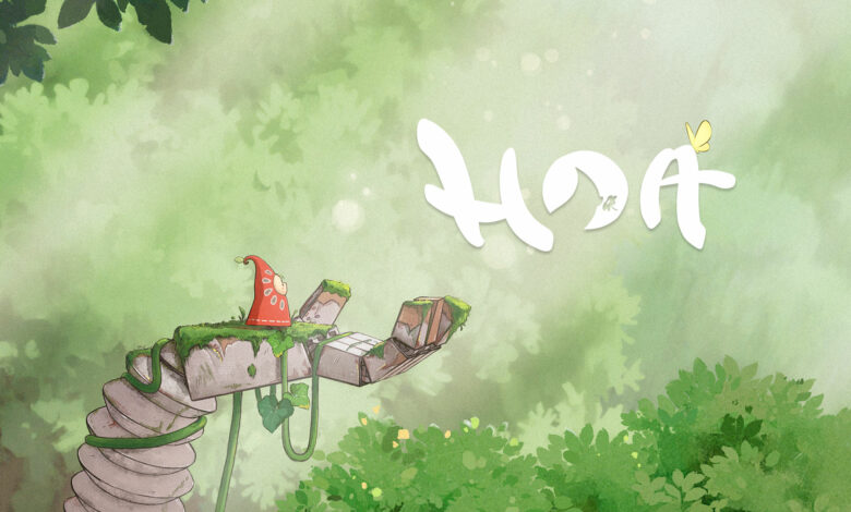 Hoa|