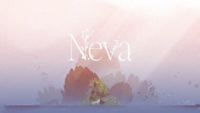 Neva|Neva Box|Neva Review