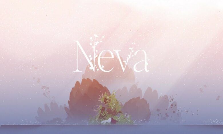 Neva|Neva Box|Neva Review