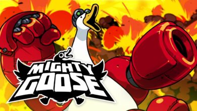 Mighty Goose|boxart