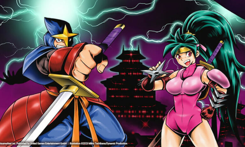 Shadow of the Ninja Reborn|Crypt Custodian|Shadow of the Ninja: Reborn