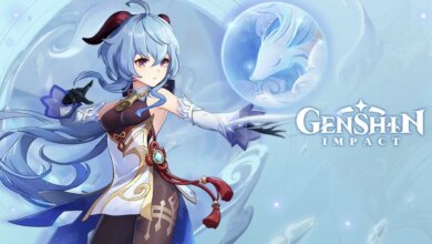 Genshin Impact