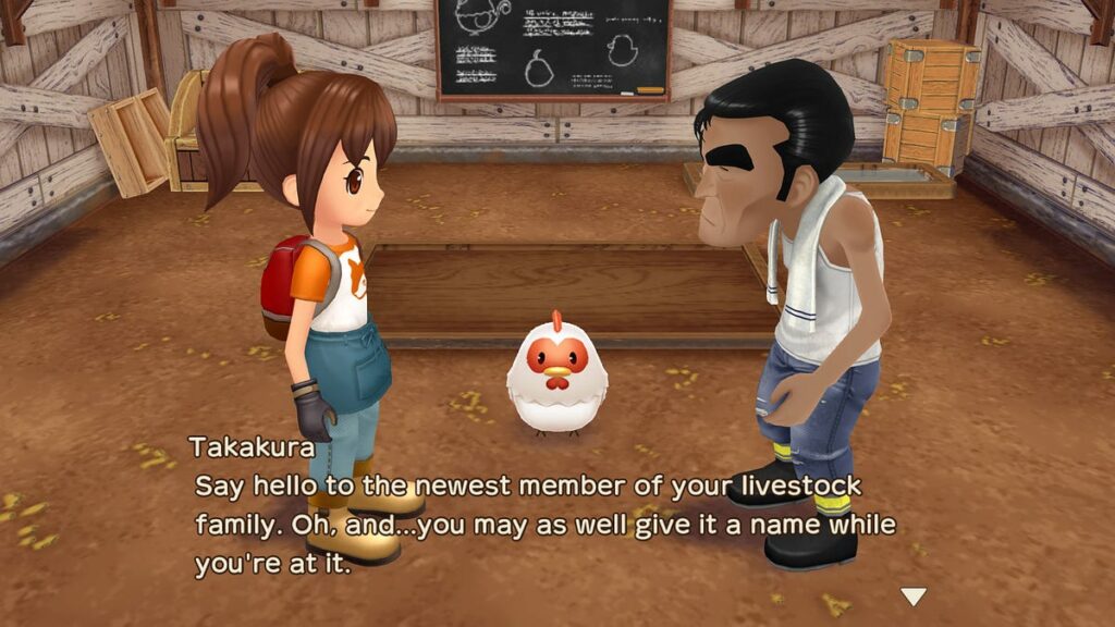 Story of Seasons: A Wonderful Life