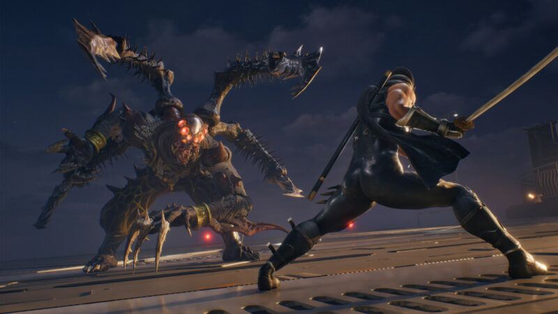 Ninja Gaiden II: Black