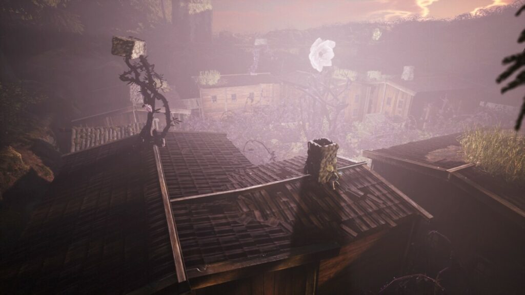 Bramble(8)