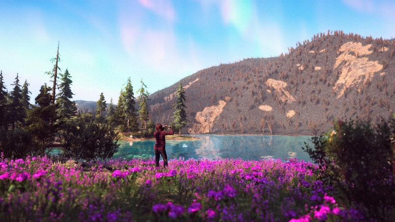 Far Cry: New Dawn