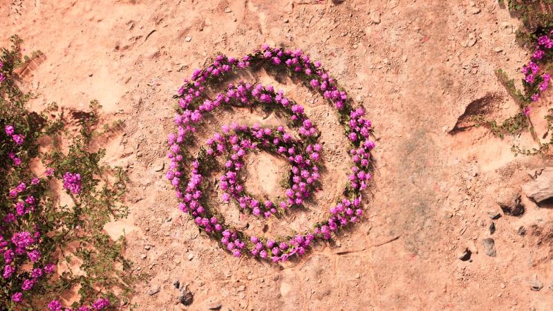 Far Cry: New Dawn