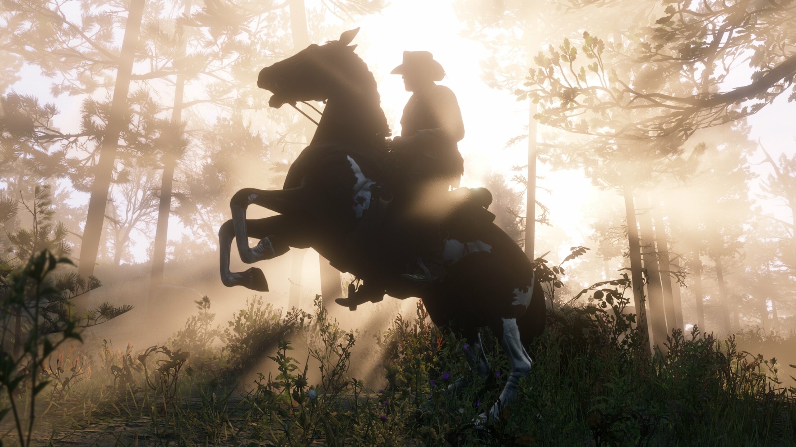 Red Dead Redemption 2 Imagem