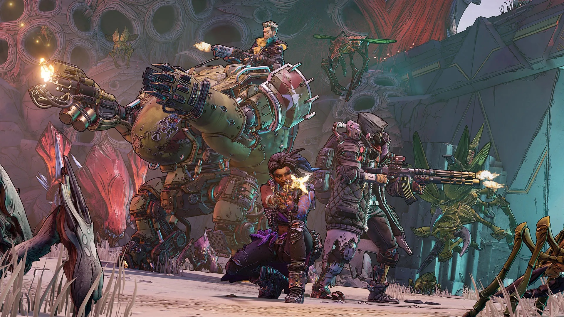 borderlands6