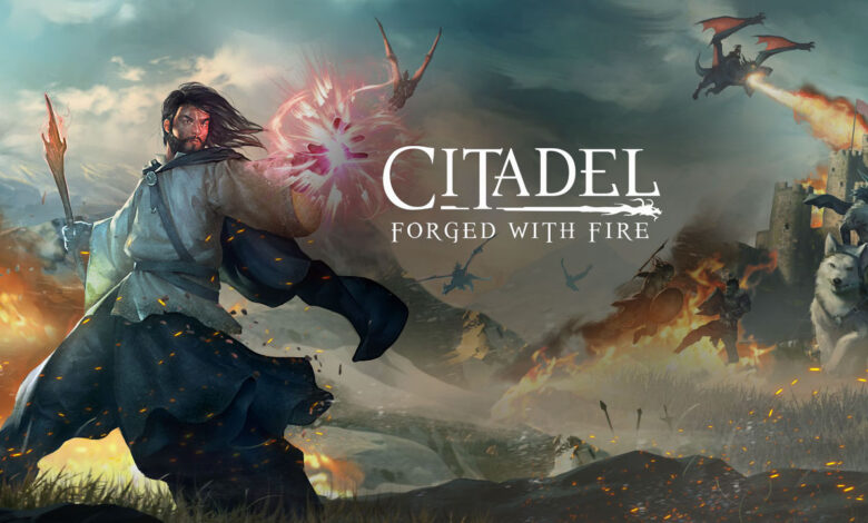 Citadel: Forged With Fire