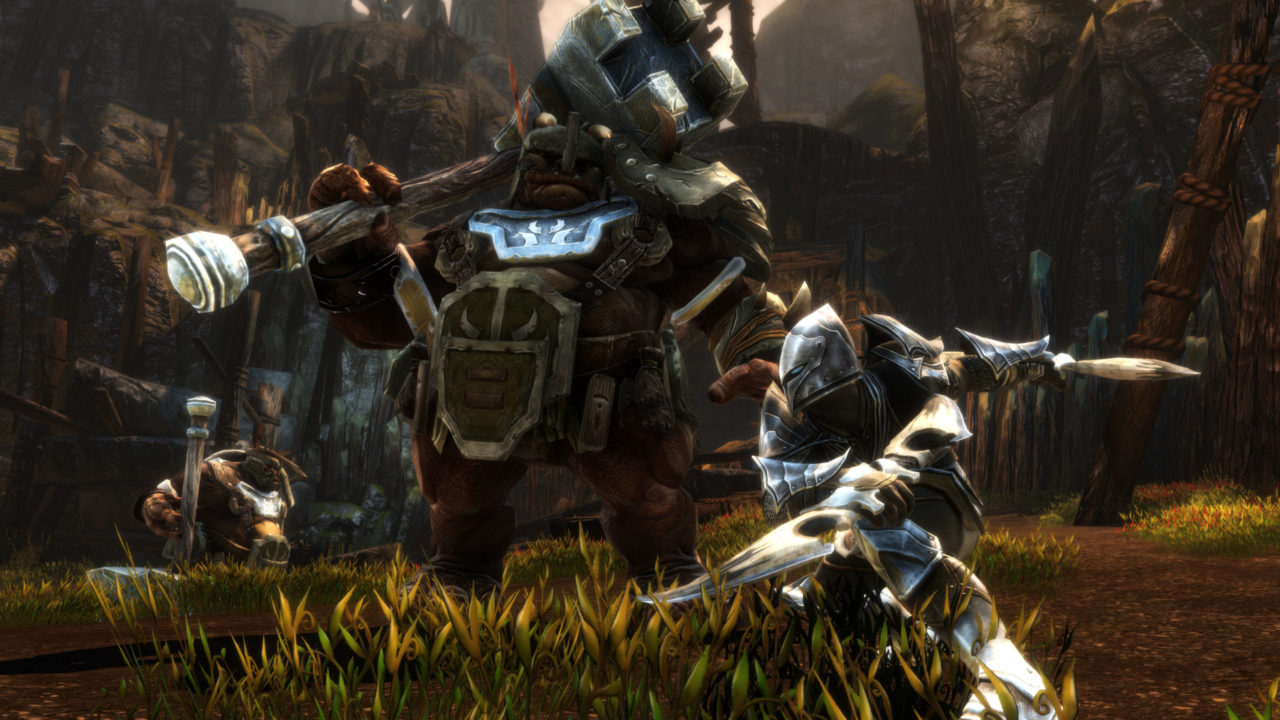 kingdomsofamalur-3