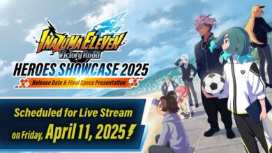Inazuma Eleven: Victory Road