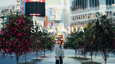 Studio Sasanqua