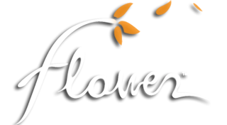Logotipo do jogo