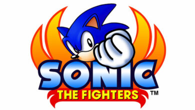 Sonic The Fighters