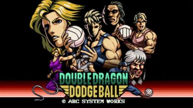 Double Dragon Revive