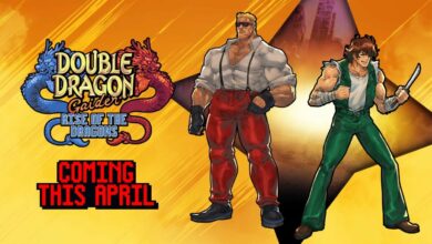 Double Dragon Gaiden: Rise of the Dragons