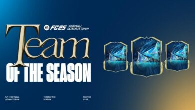 EA SPORTS FC 25 TOTS