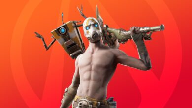 Fortnite Borderlands