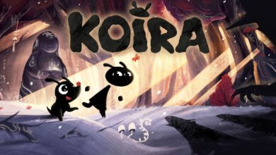 Koira|Koira|Koira|Koira