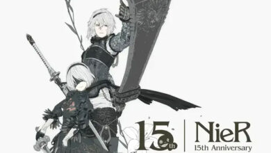 NieR