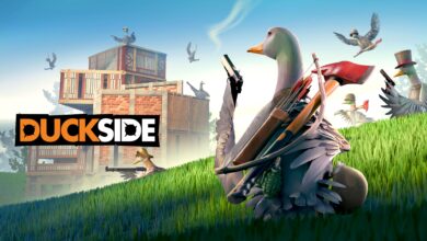DUCKSIDE