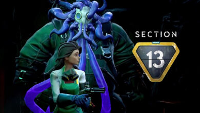 Section 13