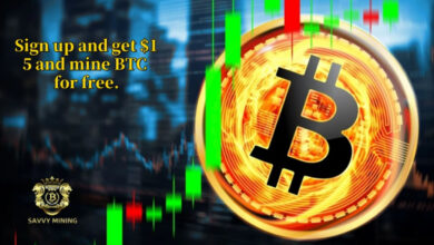 SAVVY MINING