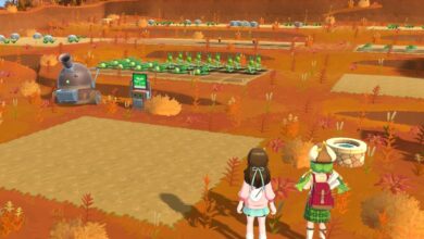 Harvest Moon: Home Sweet Home Special Edition